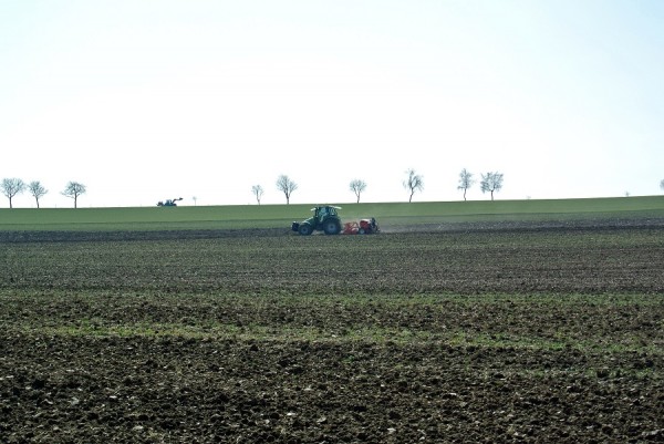 reges Treiben auf und ums Feld auf dem Härtsfeld.JPG