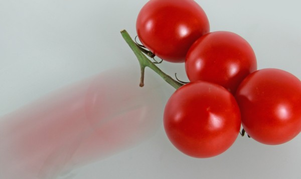 2017-05-Tomatenflucht.jpg