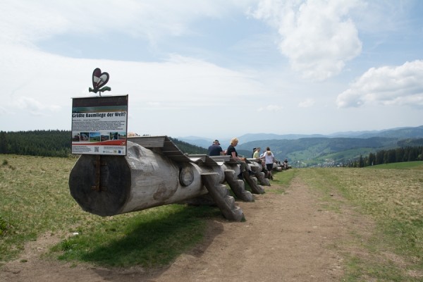 Schwarzwald 2016 (106 von 304).jpg