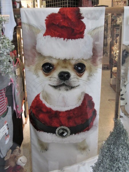 christmasdog.jpg