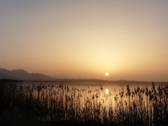 Sonnenuntergang Chiemsee Saharastaub.jpg