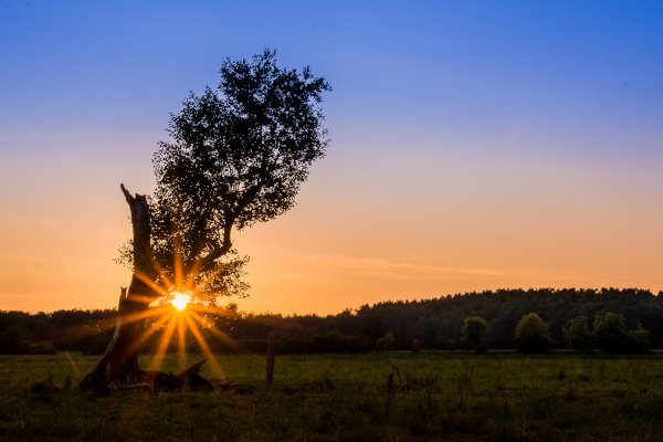 Sonnenuntergang 1.jpg