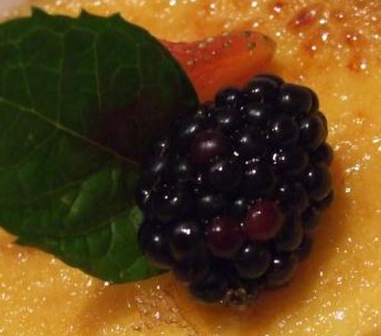 2011_0810Creme_Brulee.JPG