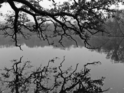 Schlosspark Nymphenburg.jpg