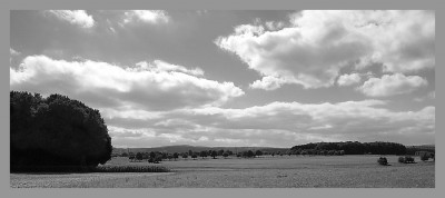 DSC_2624-sw900.jpg