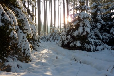 2011-01-05_Wintermärchen.jpg