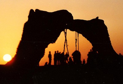 1992-Indien0302.jpg