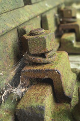 1P10301955.jpg
