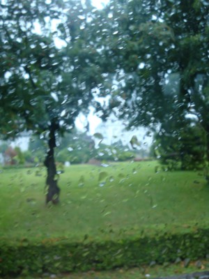 Regen2.jpg