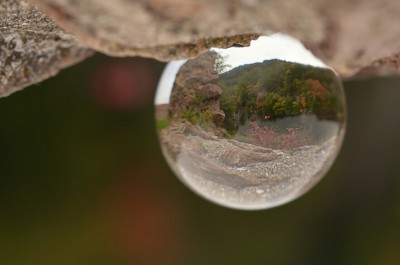 kugel herbst4 gedreht.jpg