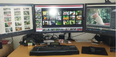 mysetup.jpg