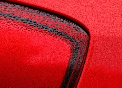 DSCF7312 2.jpg