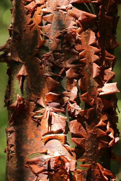 1E5A8585.jpg