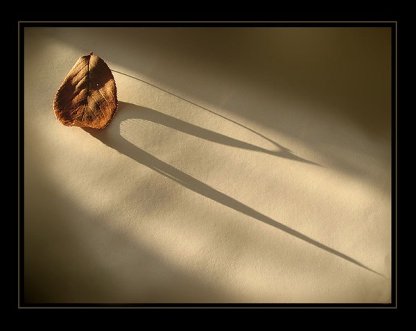 Lange_Schatten.jpg