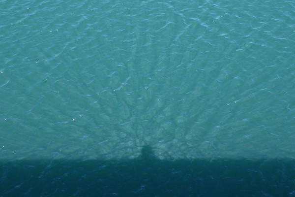 Schatten-P1010825-c.jpg