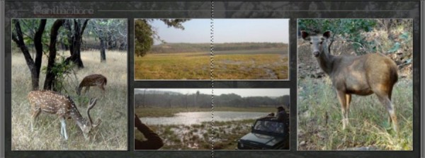 Layout_Akeh1.jpg