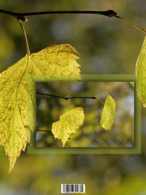 Fotoschau-Schatten.jpg