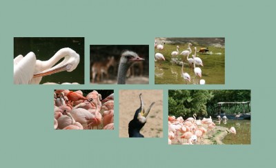 Bildabstand03.jpg (73.27 KiB) 12703 mal betrachtet Bildabstand03.jpg