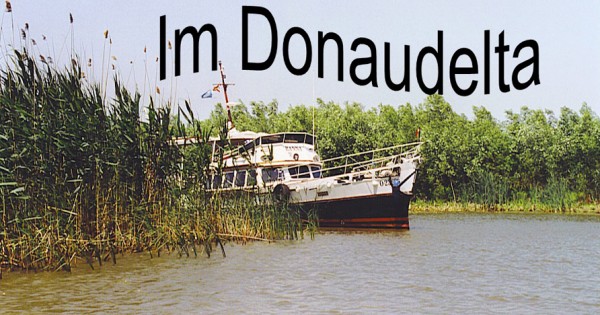 Im Delta.jpg