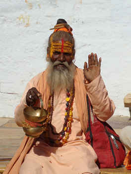 Yogi.jpg