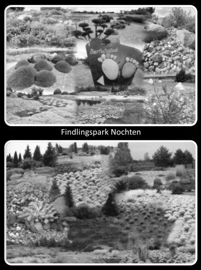Findlingspark Nochten.jpg