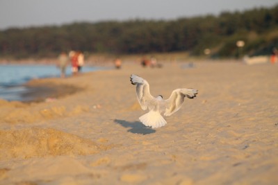IMG_3980.JPG