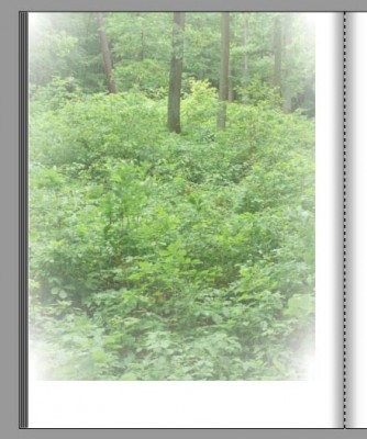 Transparenz_5.jpg (70.67 KiB) 17028 mal betrachtet Transparenz_5.jpg