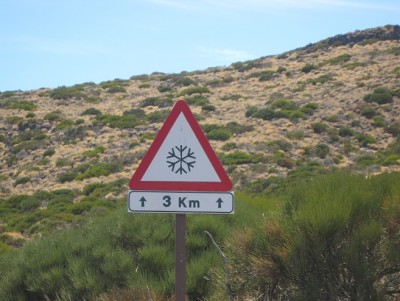Auf Teneriffa.jpg