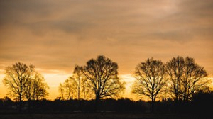 Sonnenaufgang-06-1-400-Sek.-bei-f-40-ISO-200-290x163.png