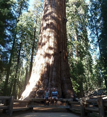 Sequoia-20120830-1411211.jpg