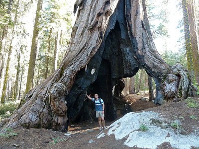 Sequoia-20120830-141627.jpg