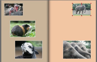 copypaste-D-rechts-markieren-und-kopieren.jpg