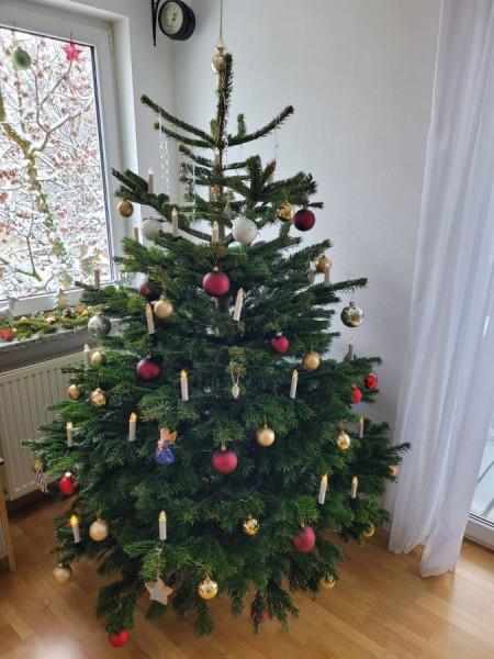 IMG-Weihnachtsbaum.jpg