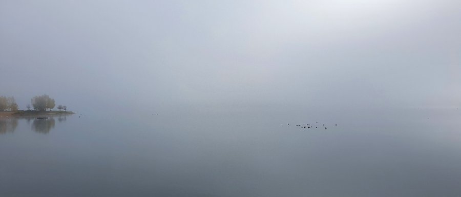 See im Novembernebel.jpg