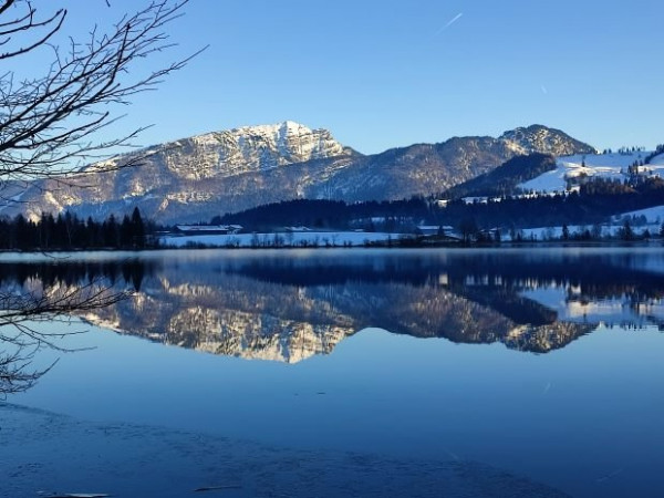 Spiegelung der Berge im Walchsee.jpg