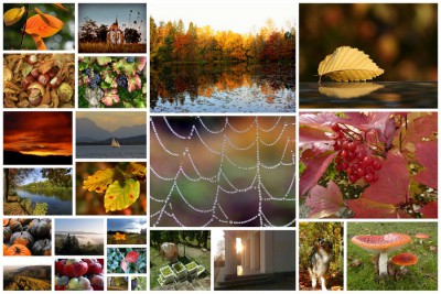 Herbstgold-Poster2.jpg
