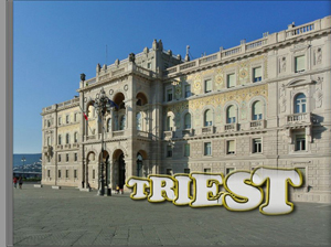 triest-cooper-std-1.jpg