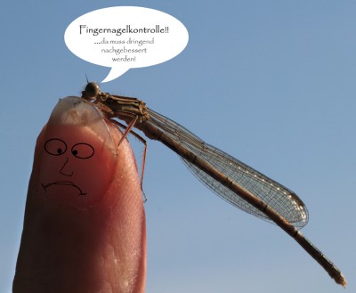 Fingernagelkontrolle.jpg