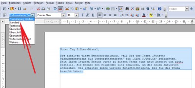 Formatierung.jpg