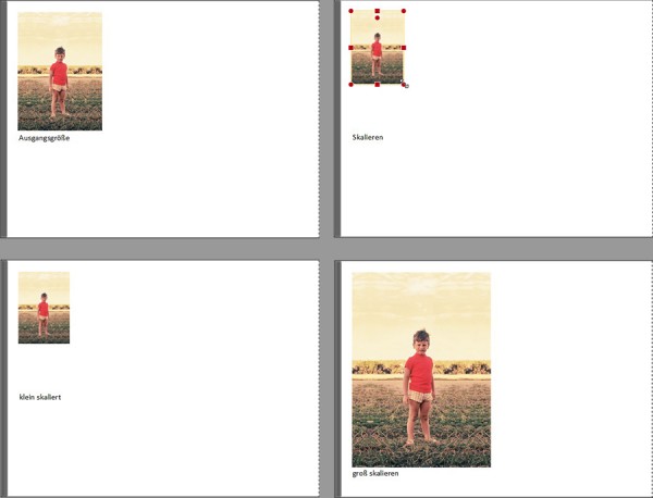 Skalieren_1.jpg