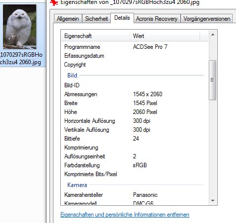 Eule wie ich es sollte.JPG