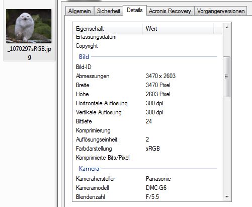 Eule wie ich es wollte.JPG