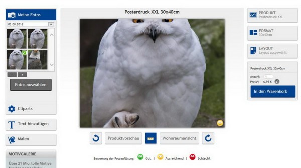 1Bearbeitungsseite Eule.JPG