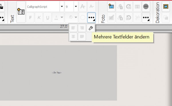 Textfelder.jpg