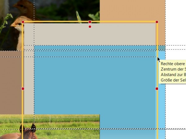 magnetische Hilfslinien2.jpg