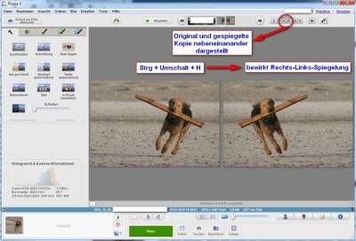 PICASA-Spiegelung.jpg (153.99 KiB) 8877 mal betrachtet PICASA-Spiegelung.jpg