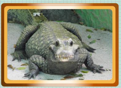 Korrekte Darstellung aller Ebenen.jpg