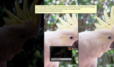 MehrereBilder.jpg