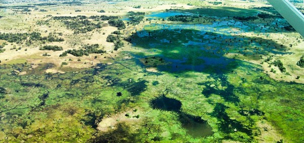 Okawango-Delta-1.jpg