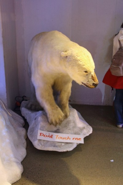 IMG_5223 (Custom).jpeg